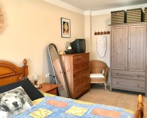 1 dormitorio con 1 cama y vestidor en Apartament amb parking privat a St Joan de les Abadesses, en Sant Joan de les Abadesses