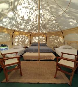 a bedroom with two beds and two chairs in a tent at Glamping Remanso del Espíritu in Isla de Maipo