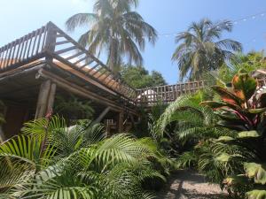 Zahrada ubytování Glamping Due Amici