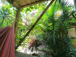 Zahrada ubytování Glamping Due Amici