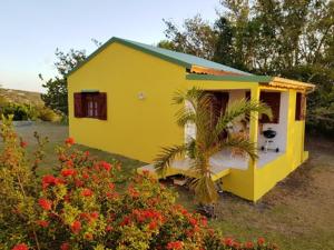 a yellow house with a palm tree in the yard at Bungalow romantique à Deshaies + piscine in Deshaies