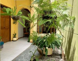 a hallway with a bunch of plants in a building at Casa Grande in Medellín