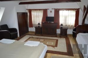 a bedroom with a bed and a tv and two chairs at La Mos Pavel in Noşlac