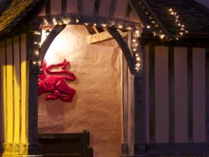 a wall with a red creature on it with lights at The Red Lion Hinxton in Hinxton