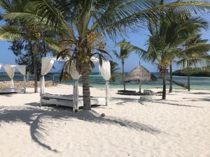 a beach with two chairs and a palm tree at Fortamu Coral House in Watamu