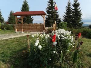 Zahrada ubytování Cabanele FloriCrin - Cabana 2