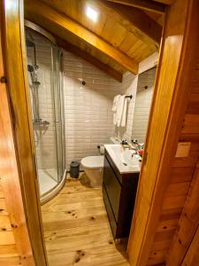 uma casa de banho com um WC, um lavatório e um chuveiro em Quinta OUTONO DOURADO em Montalegre
