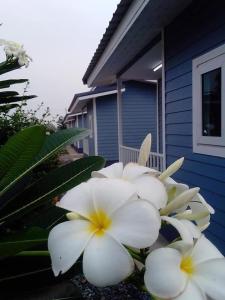 a bunch of white flowers in front of a house at บ้านสวนปลายนา Ban Suan Plai Na in Ban Kaeng Tat Sai