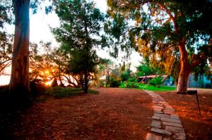 A garden outside Seafront Villa Aggeliki