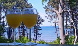 two glasses of wine sitting on a table overlooking the ocean at SEA & YOU Apartament z widokiem na morze - Dwie Sosny in Ustronie Morskie