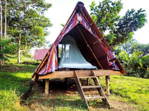 uma pequena tenda com uma escada na relva em Kindiwayra Ecohostal em Pepino