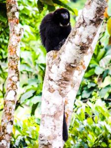 Imagen de la galería de Kindiwayra Ecohostal, en Pepino