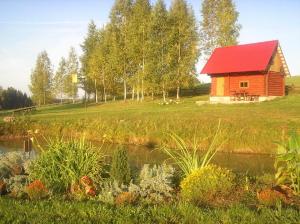 una piccola casa con il tetto rosso accanto a uno stagno di Brīvdienu māja Vīteri a Biksinīki