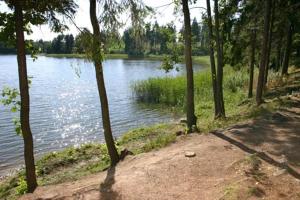 una vista di uno specchio d'acqua con alberi di Brīvdienu māja Vīteri a Biksinīki Altre 2 foto