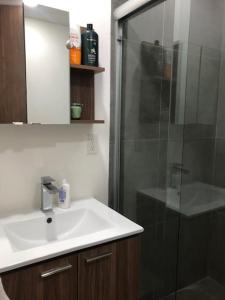 Ванная комната в Gran Ubicacion ,muy amplio, pegado a la Condesa