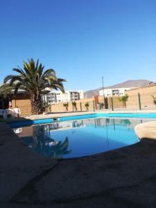 una gran piscina con palmeras en el fondo en Cabañas con piscina donde Thomas, en La Serena
