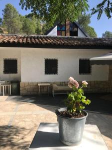 una maceta sentada en una mesa frente a un edificio en Villa Caramel en Villalba de la Sierra