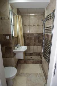 y baño con aseo, lavabo y ducha. en Apartmany Anna Nicole, en Karlovy Vary