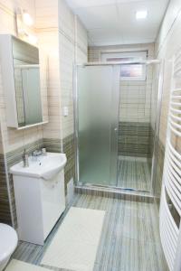 La salle de bains est pourvue d'une douche, de toilettes et d'un lavabo. dans l'établissement Apartmany Anna Nicole, à Karlovy Vary