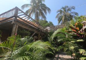 Atropischer Garten mit einem Holzhaus mit Palmen in der Unterkunft Glamping Due Amici in Palomino