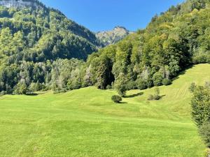 un champ verdoyant avec des arbres et des montagnes en arrière-plan dans l'établissement Wasserfall Apartments Mellau, à Mellau