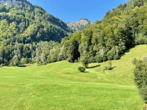 a green field with trees and mountains in the background at Wasserfall Apartments Mellau in Mellau