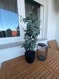 Balkón alebo terasa v ubytovaní Apartman Pepper
