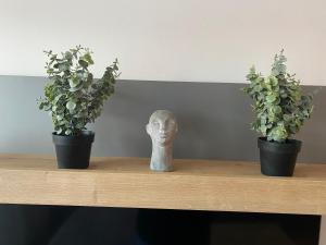 Fotografia z galérie ubytovania Apartman Pepper v destinácii Osijek