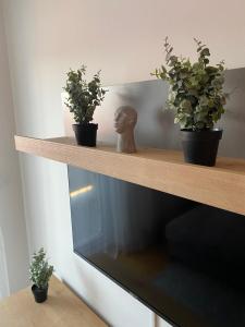 Fotografia z galérie ubytovania Apartman Pepper v destinácii Osijek