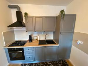 Kuchyňa alebo kuchynka v ubytovaní Apartman Pepper
