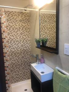 Duplex Minimalista tesisinde bir banyo