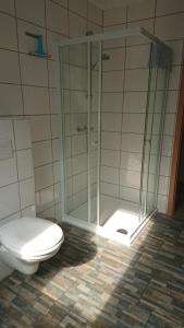 a bathroom with a toilet and a glass shower at FeWo2 Griese in Damnatz