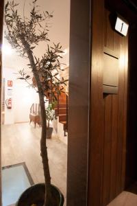 Casa de Luna y Sol, Úbeda – Updated 2022 Prices