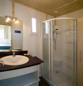 a bathroom with a glass shower and a sink at Village de Gite - La Cascade in Sainte-Eulalie-dʼOlt