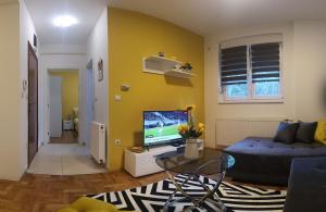 TV a/nebo společenská místnost v ubytování APARTMAN SUNFLOWER
