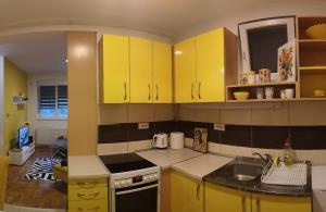 Kuchyň nebo kuchyňský kout v ubytování APARTMAN SUNFLOWER