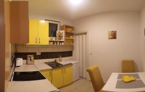 Kuchyň nebo kuchyňský kout v ubytování APARTMAN SUNFLOWER