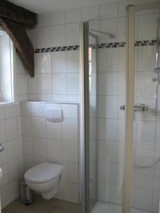 uma casa de banho com um WC e uma cabina de duche em vidro. em Backspieker BACK em Sögel