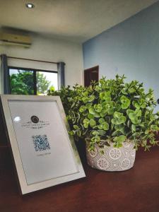 伊萨马尔Hotel Quinta Izamal的相册照片