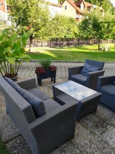 un patio con 2 sofás, una mesa y sillas en Ferienhaus Neumann en Kinding