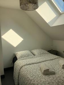 um quarto com uma cama e duas clarabóias em La petite maison dans la jungle em Chartres-de-Bretagne
