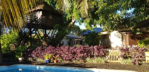Zahrada ubytování Tree Lodge Mauritius
