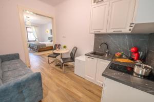 a kitchen and living room with a sink and a couch at Old Town Suites Brașov in Braşov