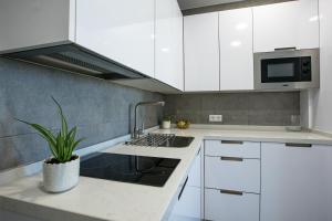 Kuchyňa alebo kuchynka v ubytovaní Apartamentos Ribera 19