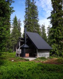 a house with a black roof in the woods at Ruka Inn in Ruka