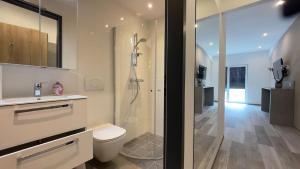 a bathroom with a shower and a toilet and a sink at VOK Pension in Neunkirchen am Sand