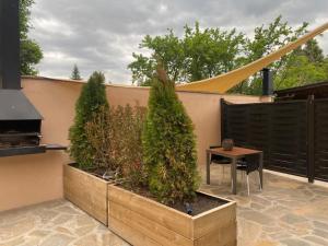 A garden outside Loft Cal Pedrals