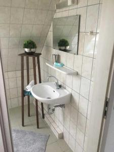 uma casa de banho com um lavatório e um espelho em Higgen Adamla em Stedesdorf