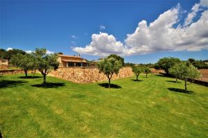 a field of grass with trees and a stone wall at CAS BORRASSOS- Finca con piscina privada y Vistas Despejadas in Palma de Mallorca