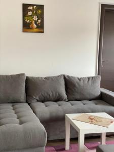 sala de estar con sofá gris y mesa blanca en Dom apartmani en Kragujevac